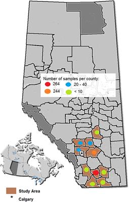 Antimicrobial Susceptibility of Bacteria That Cause Bovine Respiratory Disease Complex in Alberta, Canada